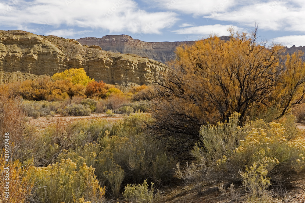 Fototapeta premium Landscape at Capital Reef National Park, Utah