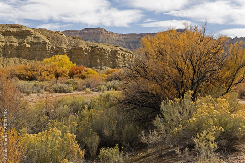 Landscape at Capital Reef National Park, Utah