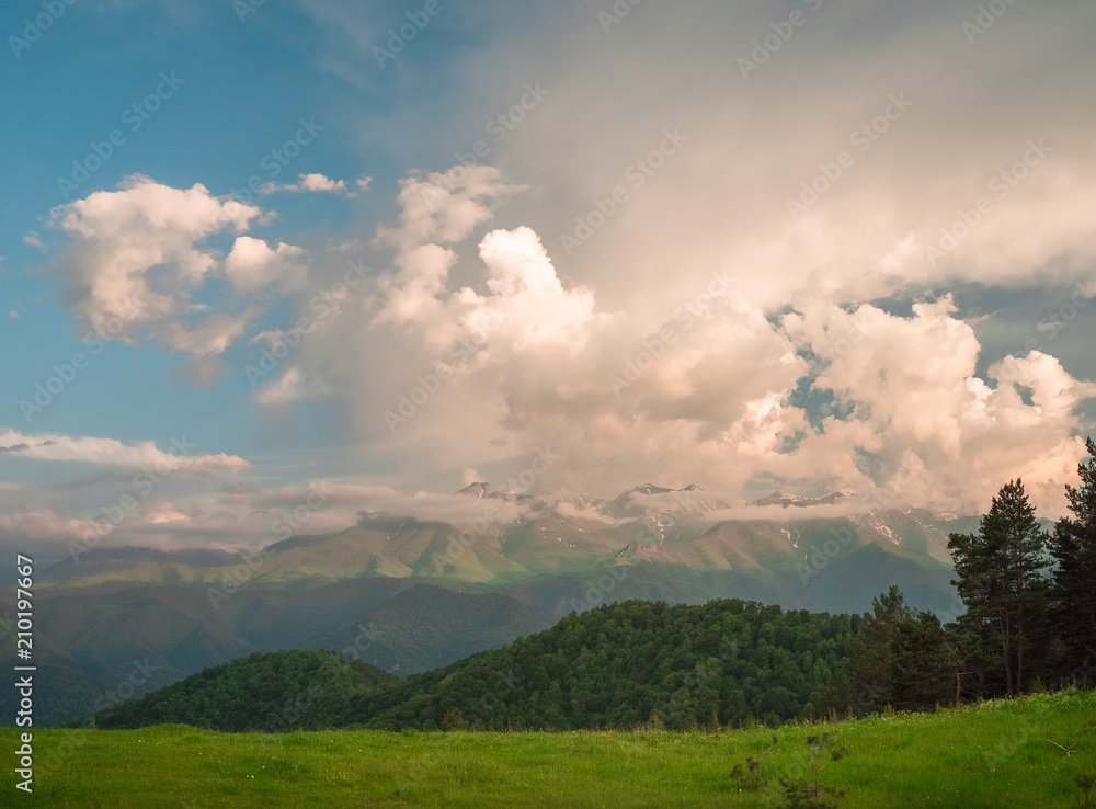 dense evening pink clouds in the sky above the green fields with forest and mountains, picture screensaver dense evening pink clouds in the sky above the green fields with forest and mountains, picture screensaver