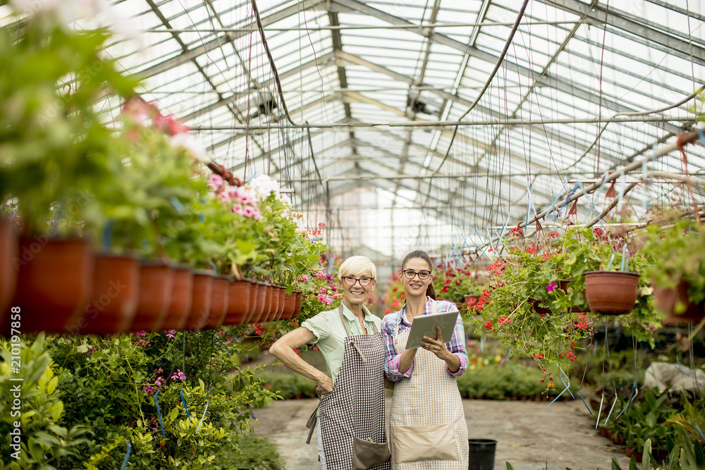Two senior and young florist women selecting flowers while looking instructions from a tablet Two senior and young florist women selecting flowers while looking instructions from a tablet