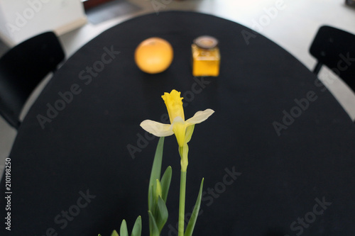 yellow