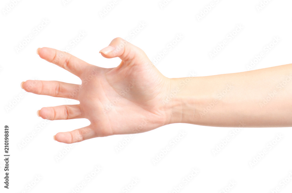 Female hands empty holding on a white background isolated Female hands empty holding on a white background isolated