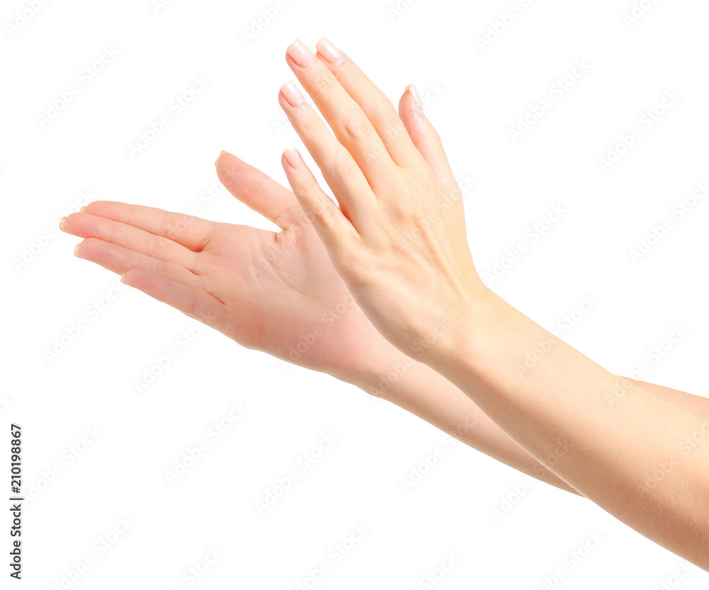 Woman's hands applause on white background isolation Woman's hands applause on white background isolation