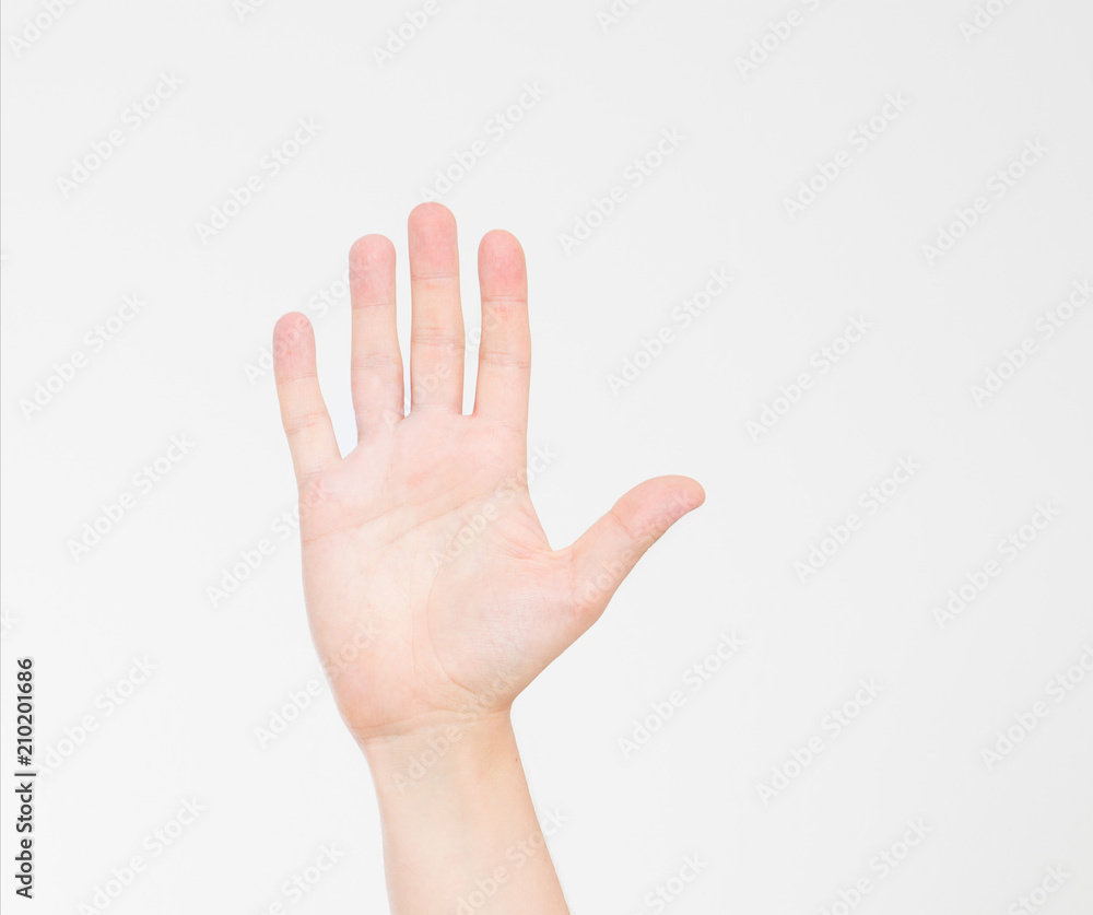 hand isolated on white.Voting hand. Mock up. Copy space. Template. Blank. hand isolated on white.Voting hand. Mock up. Copy space. Template. Blank.