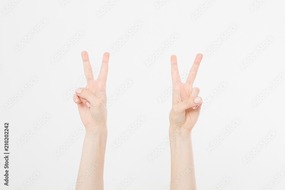 Two Hand showing the sign of victory or peace closeup isolated on white background.Front view. Mock up. Copy space. Template. Blank. Two Hand showing the sign of victory or peace closeup isolated on white background.Front view. Mock up. Copy space. Template. Blank.
