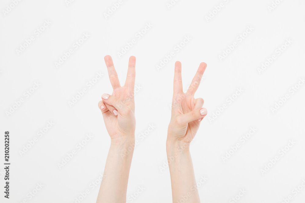 Two Hand showing the sign of victory or peace closeup isolated on white background.Front view. Mock up. Copy space. Template. Blank. Two Hand showing the sign of victory or peace closeup isolated on white background.Front view. Mock up. Copy space. Template. Blank.