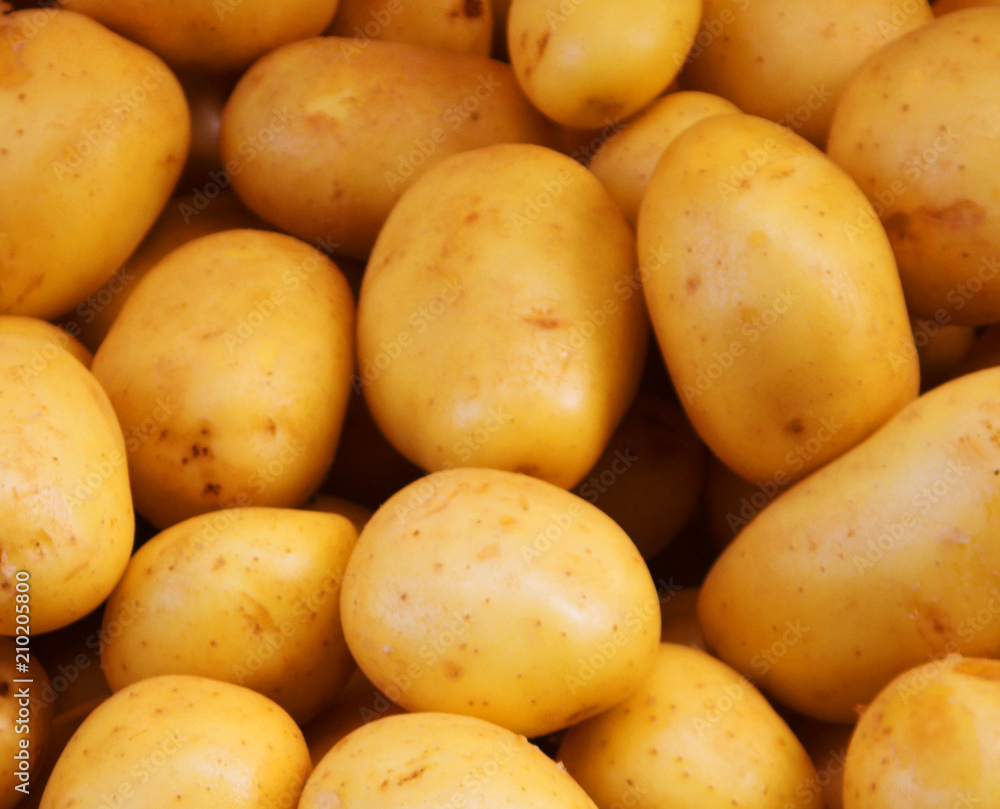 Big bunch of natural potatoes at market Big bunch of natural potatoes at market