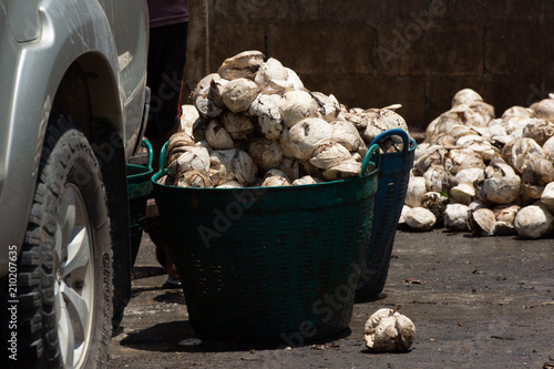 Wallpaper Mural The rubber store to sell to the store. Torontodigital.ca