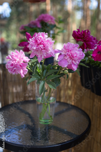 Wallpaper Mural Fresh peonies flowers  Torontodigital.ca