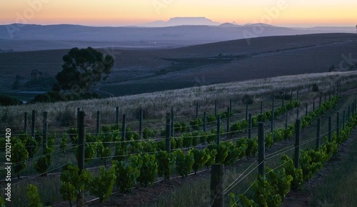 Sun Setting on Table Mountain photo