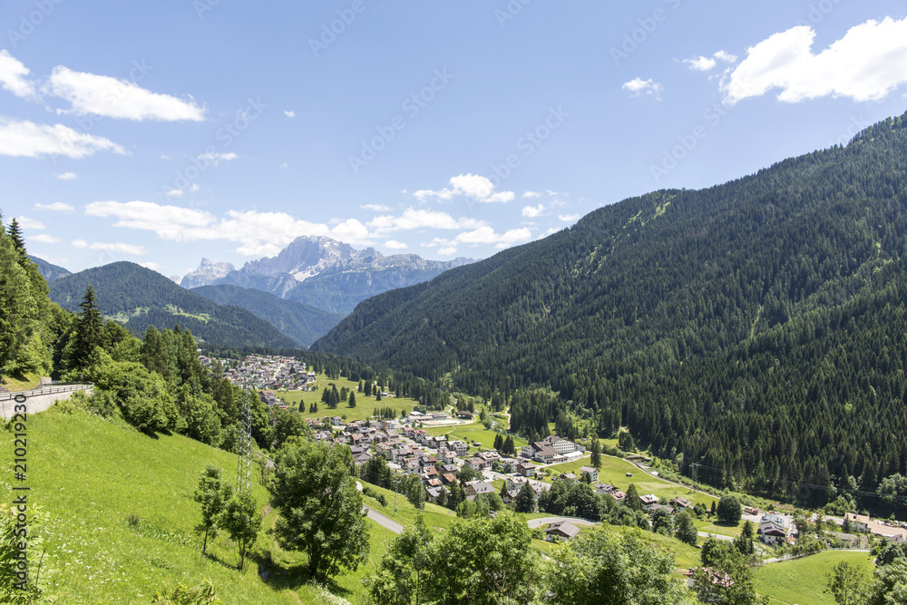 Falcade, Belluno, Veneto, Alpe, Dolomites: Summer mountains, nature. Italian city in the mountains. Idyllic landscape in the Alps with fresh green meadows and blooming flowers