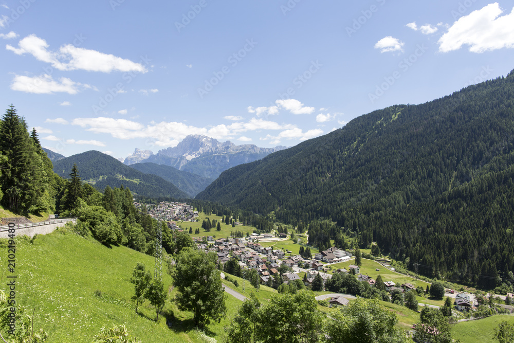 Falcade, Belluno, Veneto, Alpe, Dolomites: Summer mountains, nature. Italian city in the mountains. Idyllic landscape in the Alps with fresh green meadows and blooming flowers Falcade, Belluno, Veneto, Alpe, Dolomites: Summer mountains, nature. Italian city in the mountains. Idyllic landscape in the Alps with fresh green meadows and blooming flowers