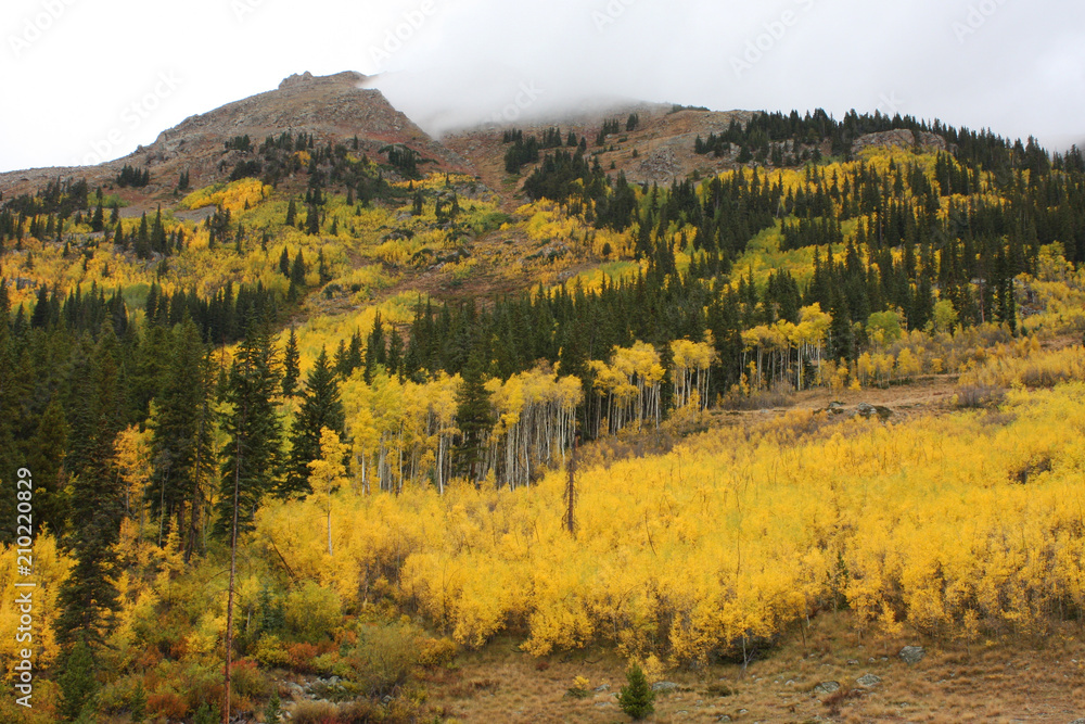 Fall in Colorado