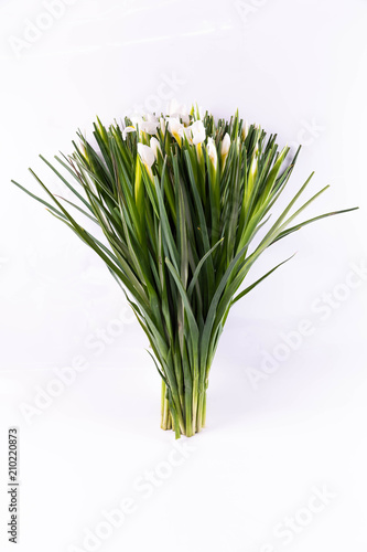 Fototapeta Naklejka Na Ścianę i Meble -  White irises in a bouquet