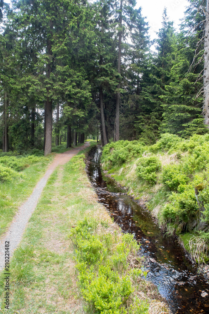 Hiking path Channel “Clausthaler Flutgraben” - Part of the World Heritage Site “Upper Harz Water Management System”, Harz Mountains, Germany Hiking path Channel “Clausthaler Flutgraben” - Part of the World Heritage Site “Upper Harz Water Management System”, Harz Mountains, Germany