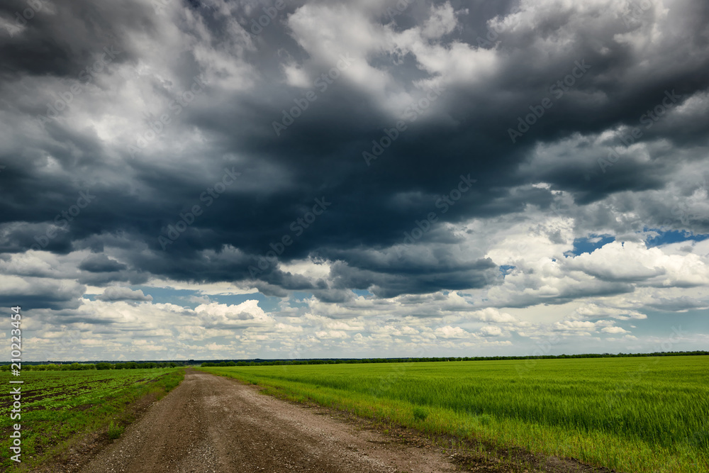 dirt road through a young wheat field, dark sky dirt road through a young wheat field, dark sky