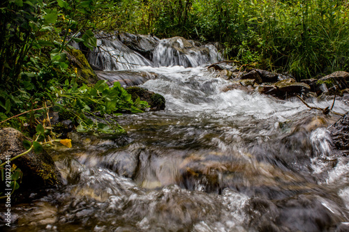 A High Alpine Forest Stream Running Down Rocky Terrain