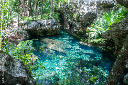 cenote