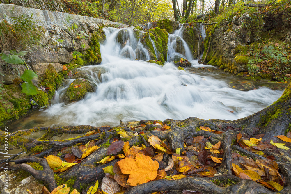 wild cascades of waterfall with leaves in Croatia wild cascades of waterfall with leaves in Croatia