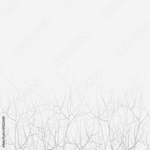 gray sad depressive outline of thin tree branches spilled by fog vector illustration drawing of a forest white light background