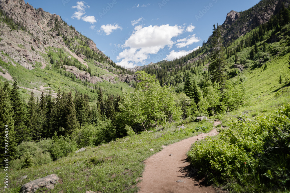 Green landscape view of Booth Falls hiking trail near Vail, Colorado. 