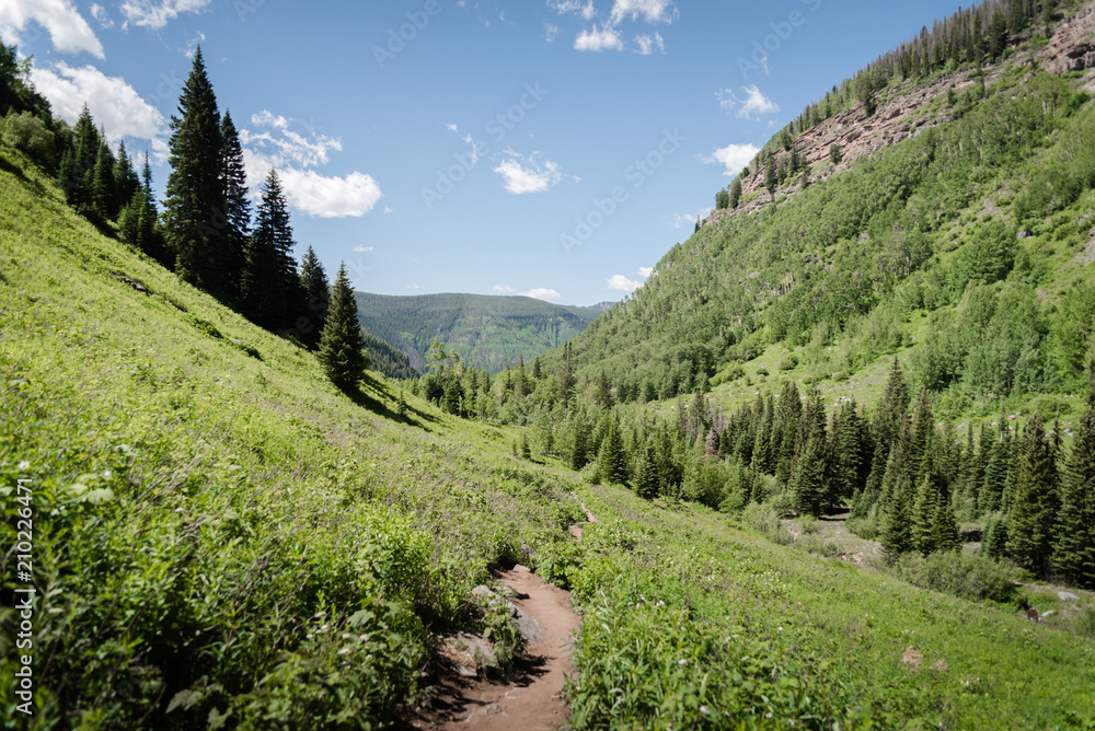 Fototapeta premium Green landscape view of Booth Falls hiking trail near Vail, Colorado. 