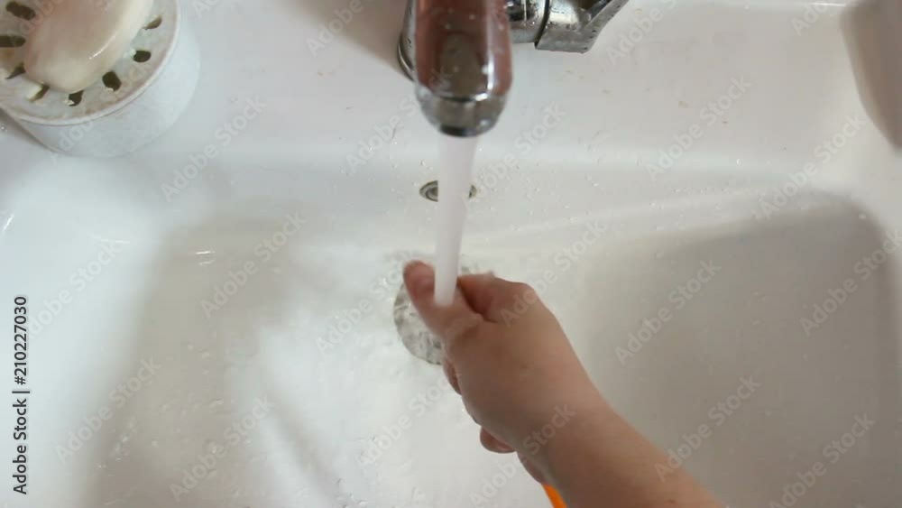 A woman's hand rinses a toothbrush Female hands under a stream of water against a white shell. top wiev, close up. brushing teeth A woman's hand rinses a toothbrush Female hands under a stream of water against a white shell. top wiev, close up. brushing teeth