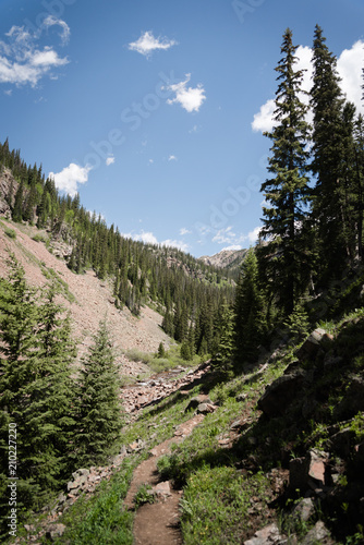 Green landscape view of Booth Falls hiking trail near Vail  Colorado. 