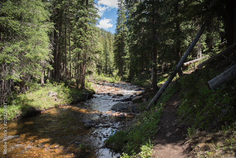 A river running through a forest near Vail, Colorado during summer. A river running through a forest near Vail, Colorado during summer.