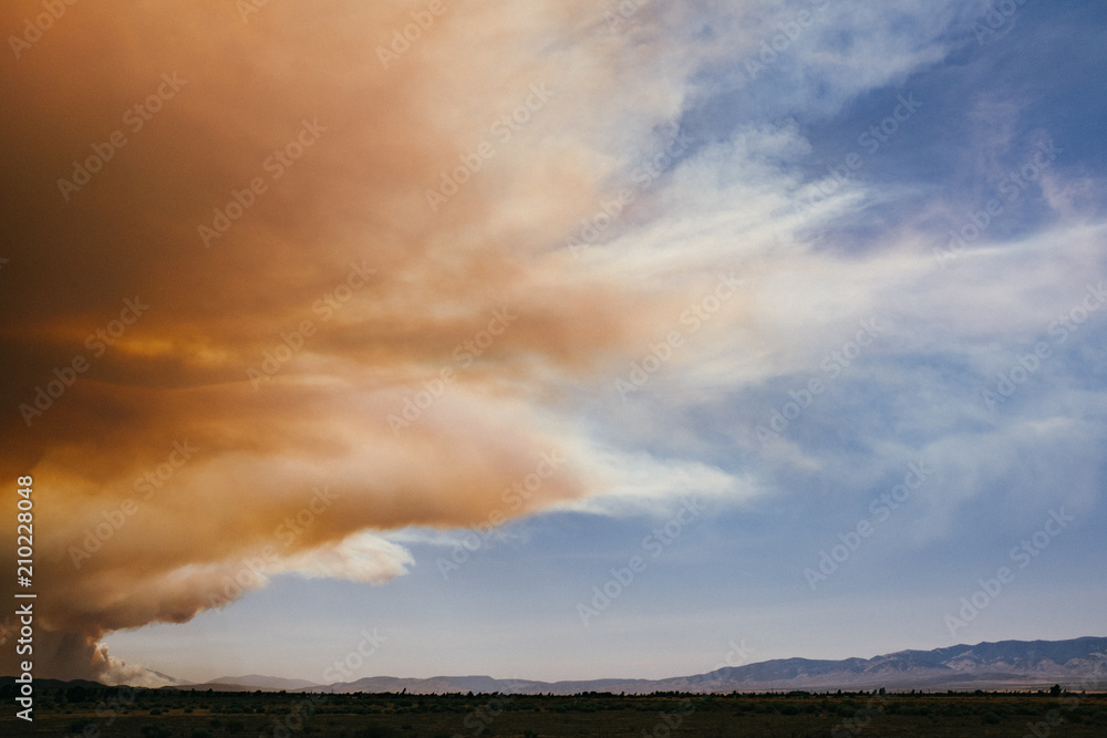 cloud from wildfire