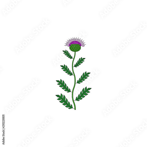 medicinal herb icon