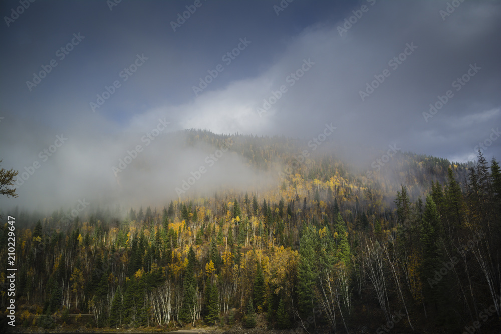 Mountain ridge with autumn forest
