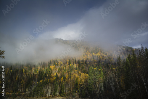 Mountain ridge with autumn forest