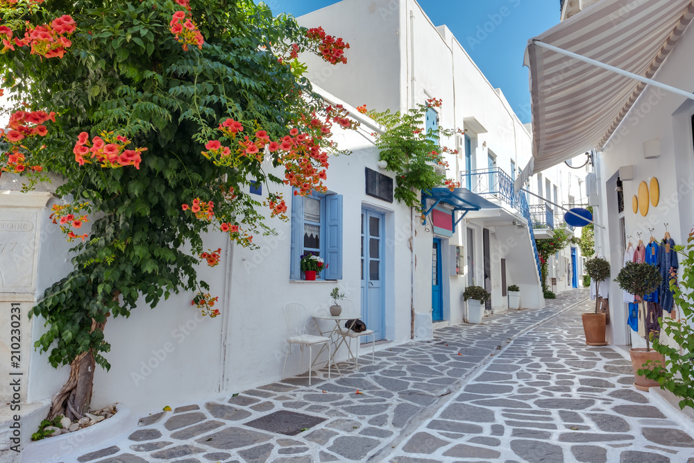 Fototapeta premium Widok na typową wąską uliczkę na starym mieście Parikia, wyspa Paros, Cyklady, Grecja