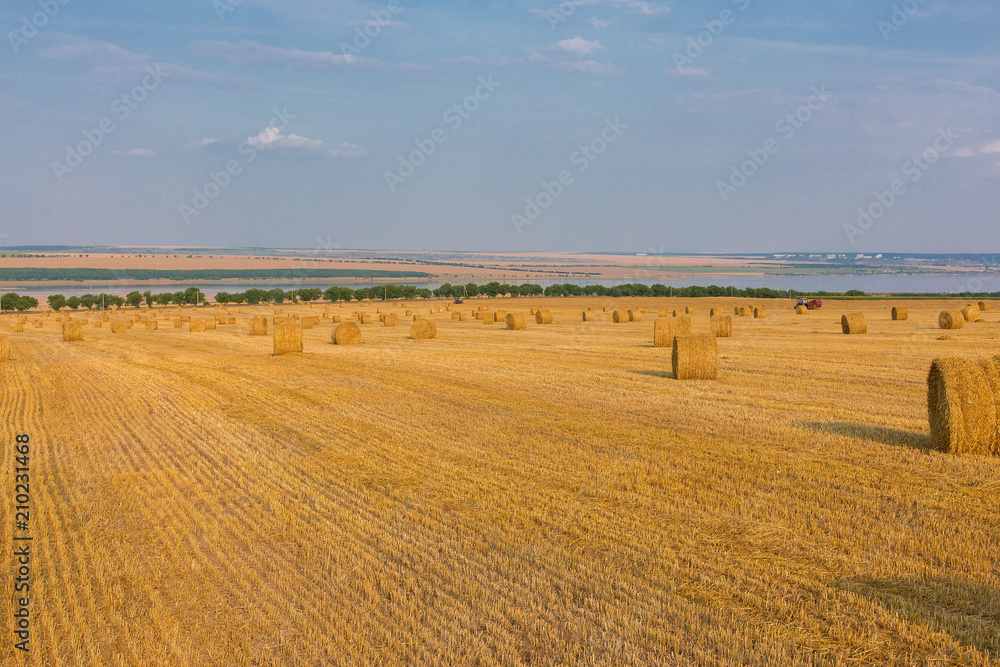 Field after harvest, Big round bales of straw Field after harvest, Big round bales of straw