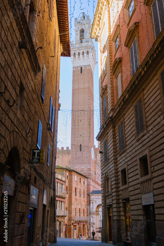 Siena day view, Tuscany, Italy © elleonzebon