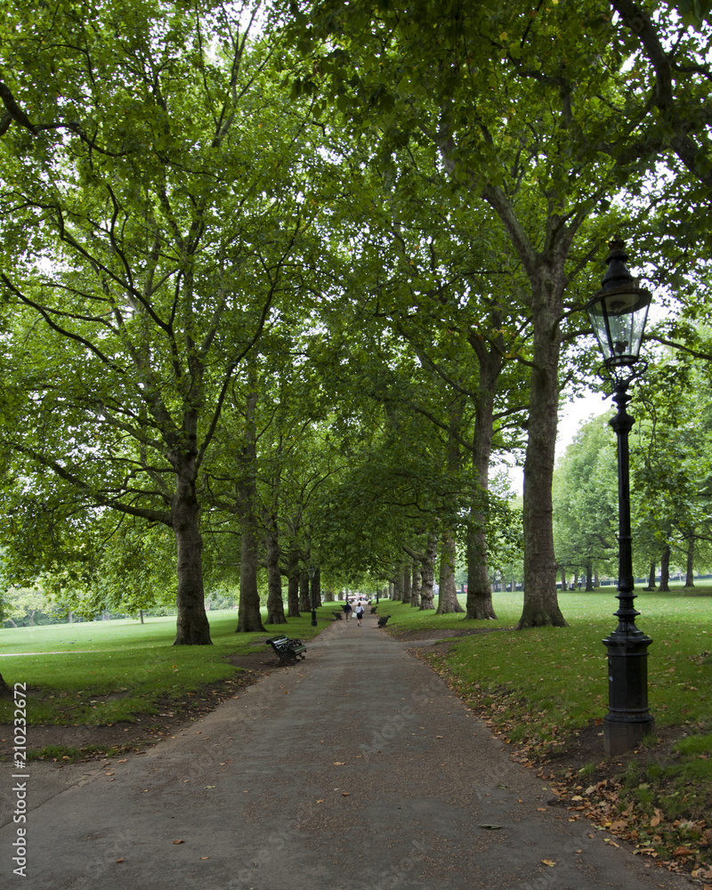 Hyde Park Pathway