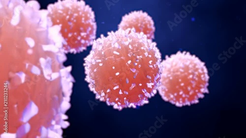 Cells, Cancer Cells, T cells or lymphocytes in motion photo