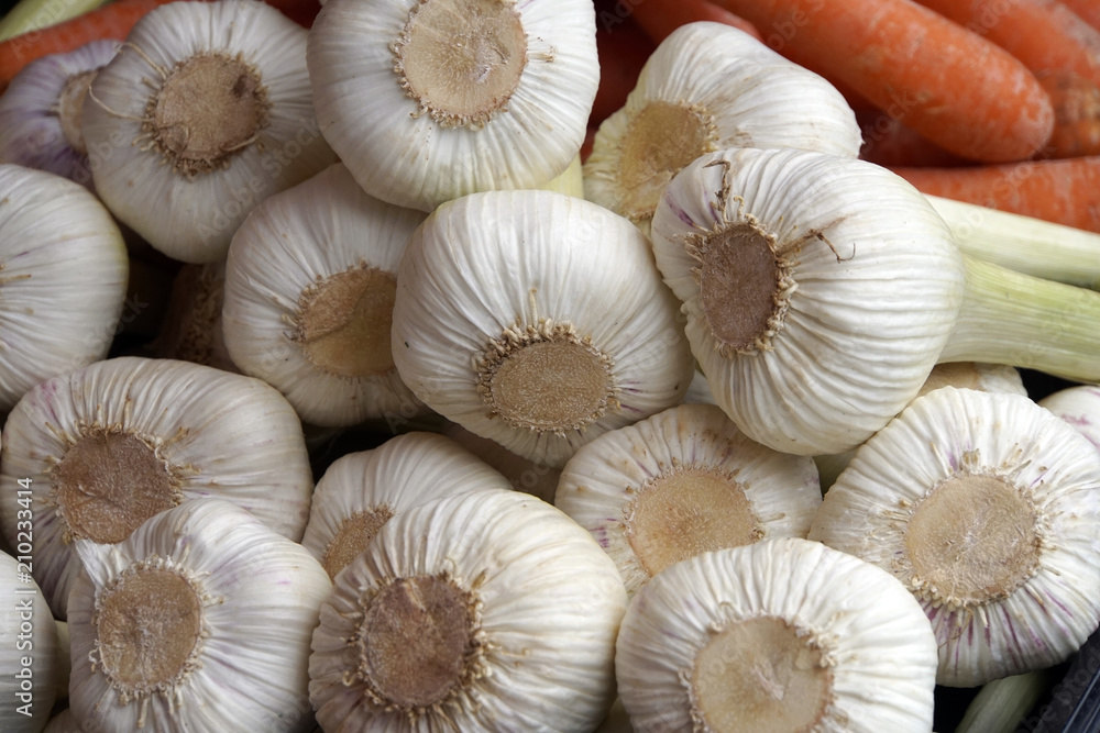 frische Knoblauch-Knollen auf dem Markt frische Knoblauch-Knollen auf dem Markt