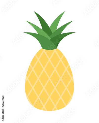 Vector illustration of a single pineapple