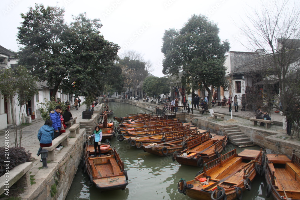 Beautiful Chinese city with canal bridge and tree 