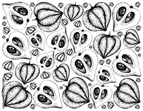 Hand Drawn Background of Canistel or Eggfruit photo