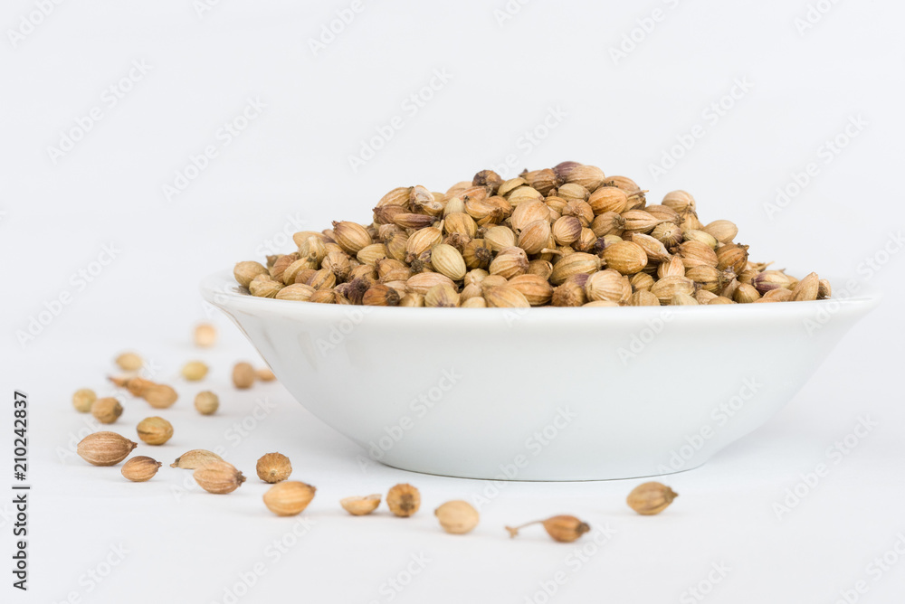 Coriander Seeds in a Bowl Coriander Seeds in a Bowl