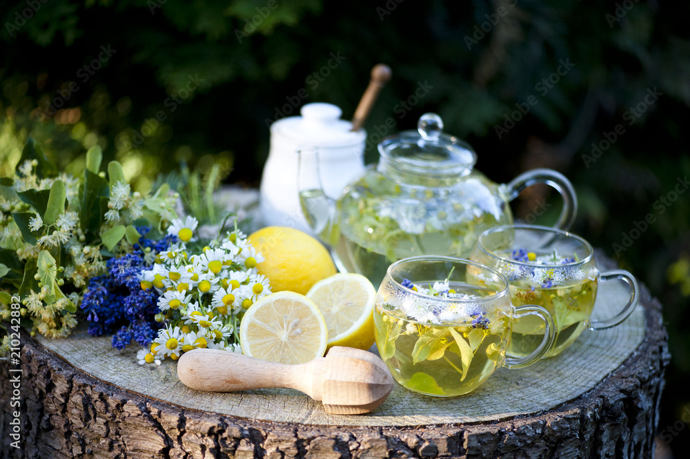 Cup of herbal tea with wild flowers and various herbs Cup of herbal tea with wild flowers and various herbs