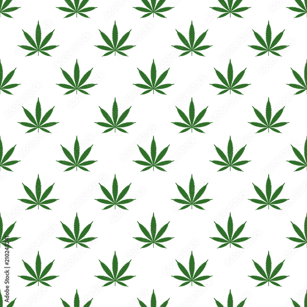 Seamless pattern with marijuana leaf. Cannabis background. Pattern can be used for fabric design, wallpaper, wrapping papers. Isolated vector illustration.