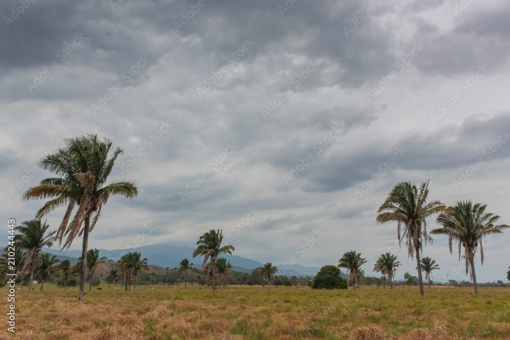 beautiful landscape and nature in venezuela beautiful landscape and nature in venezuela