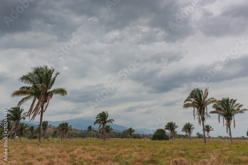 beautiful landscape and nature in venezuela