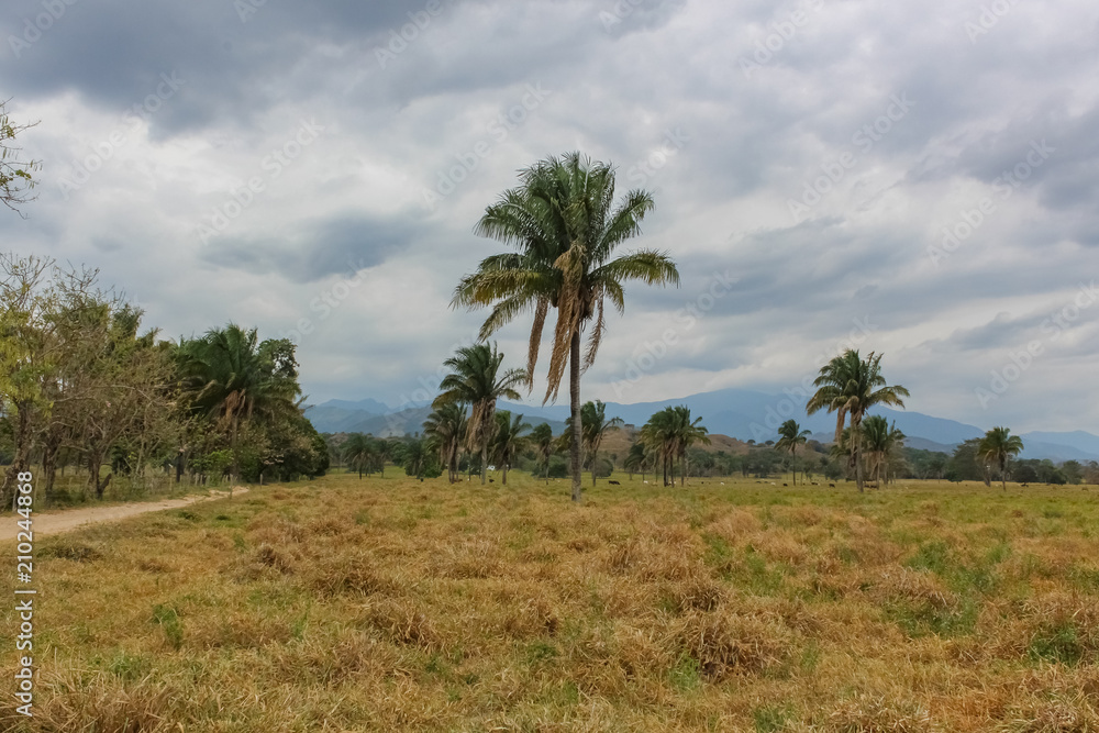 beautiful landscape and nature in venezuela beautiful landscape and nature in venezuela