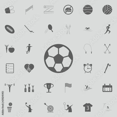 soccer ball icon. Detailed set of Sport icons. Premium quality graphic design sign. One of the collection icons for websites, web design, mobile app