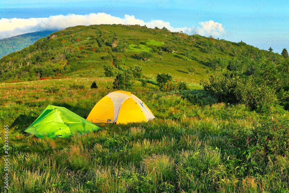 Tent camping on the Appalachian trail on Roan Mountain